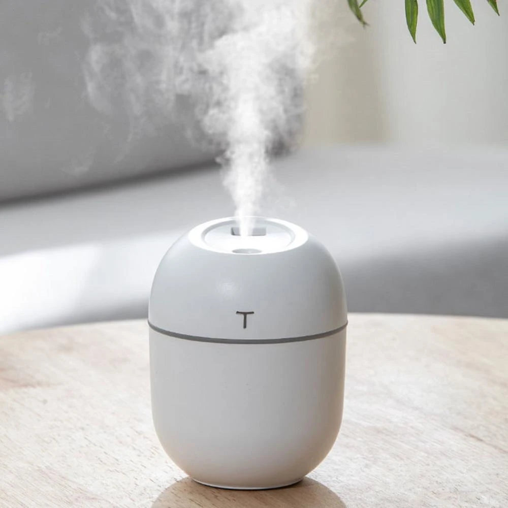 Mini Air Humidifier 250ml