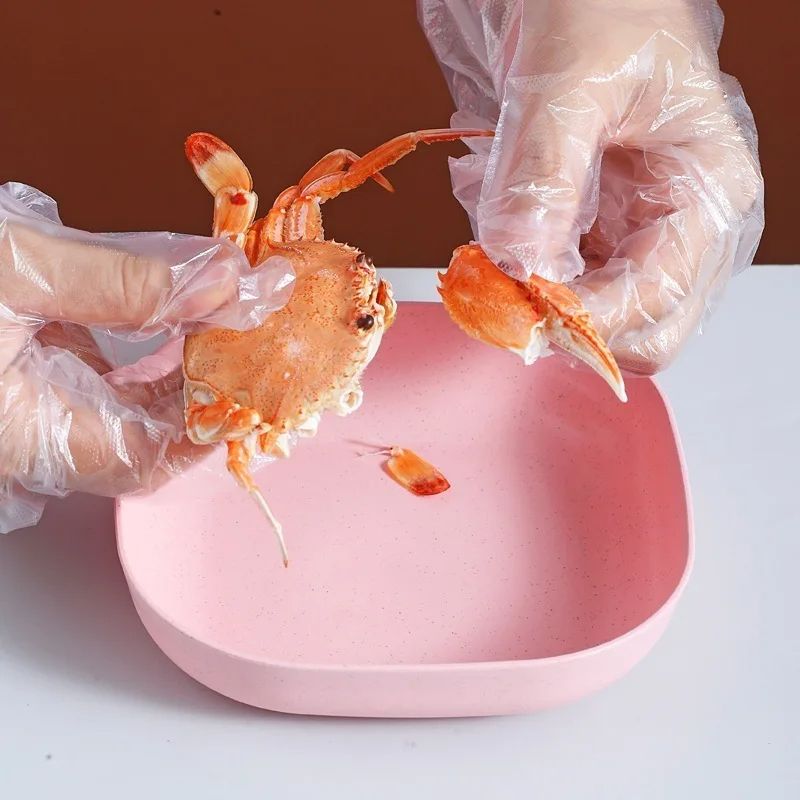 10 Pcs Multi-function Plate Set