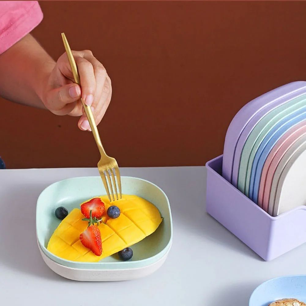 10 Pcs Multi-function Plate Set